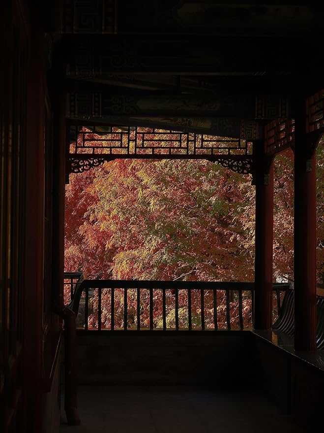 Dawn Redwood | Small Tree Seedling | The Jonsteen Company