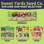 Organic Celery Seeds ‘Tall Utah’ – Two Seed Packets! – Over 1,926 Open Pollinated Heirloom Non-GMO Seeds – Sweet Yards Seed Co.