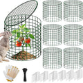 Breeze Touch 6 Pcs Plant Protectors from Animals, 12" H x 12" D Metal Plant Cages for Outdoor Plants, Sturdy Garden Cloches for Plants, Anti-Scratch Chicken Wire Mesh/Fencing, Strawberry Protector