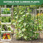 2 Pack Cucumber Trellis, 59" High Foldable A-Frame Garden Trellis for Raised Bed Garden Grow Support with Plant Support Clips Ties for Cucumber,Tomato, Climbing Plants and Flowers