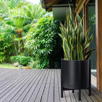 D'vine Dev Planter Pot with Stand - 16 Inch Plastic Cylinder Flower Pot with Wood Planter Holder for Indoor, Matte Black Pot + Ebony Stand, 55-C-Z-2