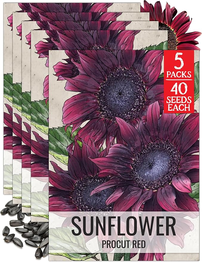 Seed Needs Procut Red Sunflower Seeds for Planting Burgundy Sunflowers - F1 Hybrid Flowers Great for Cutting in Bouquets & Floral Arrangements (5 Packs)