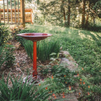 Backyard Expressions Outdoor Garden Bird Bath - Red - Weather Resistant Polyresin - 27 Inch
