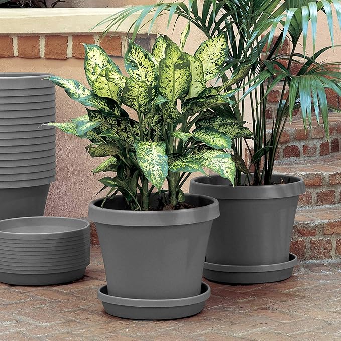 Bloem Terra 4" Diameter Round Charcoal Resin Planter Pot with Pre-Drilled Drainage Holes for Indoor and Outdoor Gardening
