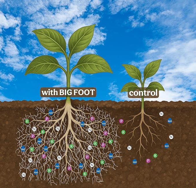 Big Foot Mycorrhizae - Double Your Plant Size, Easy to Use, Made in USA, Treats 30 Plants (7,500 Mycorrhizal Spores) Fertilizer, 4 Ounce Package