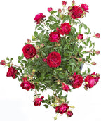 Fresh Roses for Delivery Prime, Red Roses Live Rose Bush Plants, Indoor Rose Plant Lover Gifts, Fresh Flowers for Delivery Prime, Potted Rose Plant Live Plants, Outdoor Plants Live by Plants for Pets
