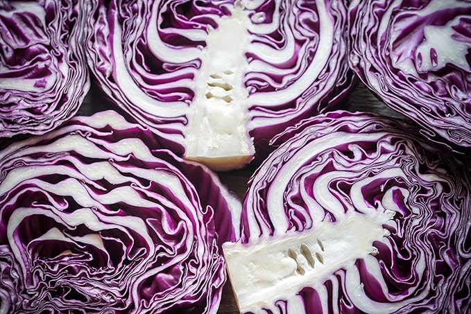 Cabbage Seeds for Planting - Plant & Grow Red Acre Cabbage in Your Home Outdoor Vegetable Garden - Heirloom Non GMO Planting Packets with Full Instructions - Great Gardening Gift - 1 Packet