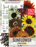 Seed Needs Crazy Sunflower Seeds for Planting Multicolor Sunflowers - Heirloom & Open Pollinated Flowers to Grow a Beautiful Outdoor Butterfly Garden (1 Pack)