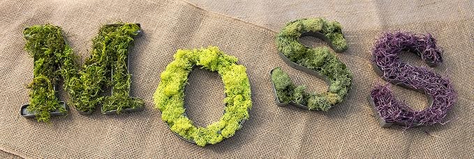 SuperMoss (21792) Reindeer Moss – Soft Preserved Moss for Home Decor, Crafts, Terrariums, Floral Design, and Wedding Decorations, 2,588 cu in, Green
