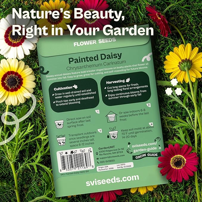 1500 SVI Painted Daisy Seeds (Chrysanthemum Carinatum) – Daisy Seed Packets Bulk, Chrysanthemum Flowers Seed Mix Wildflowers – Annual Cut Flower Seeds for Outdoor Garden, Flower Garden, Containers