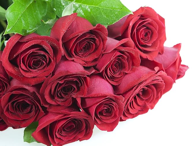 KaBloom - Bouquet of Long Stemmed Red Roses (Two Dozen) - Without Vase - Fresh Flowers for Birthday, Valentine's & Mother's Day