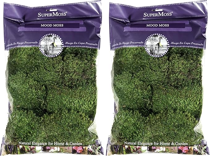 Super Moss Mood Moss Preserved Natural Green 1200cuin, Fresh Green, 200 in3 Bag (Appx. 8oz) (21539) (Pack of 2)