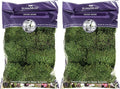 Super Moss Mood Moss Preserved Natural Green 1200cuin, Fresh Green, 200 in3 Bag (Appx. 8oz) (21539) (Pack of 2)