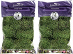 Super Moss Mood Moss Preserved Natural Green 1200cuin, Fresh Green, 200 in3 Bag (Appx. 8oz) (21539) (Pack of 2)