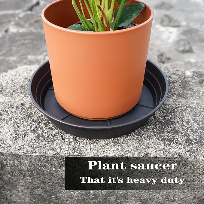 LWALRS 4 Packs 8 Inches Plant Saucer Drip Trays, Round Plastic Plant Pot Saucers Flower Pot Tray for Indoor Outdoor