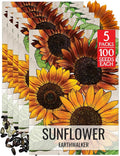 Seed Needs Earthwalker Sunflower Seeds for Planting Rustic Sunflowers - Heirloom & Open Pollinated Flower Seed to Plant an Outdoor Wildflower Butterfly Garden (5 Packs)