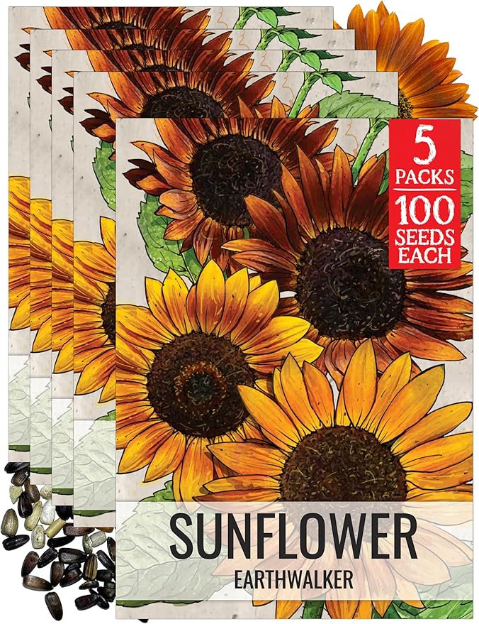 Seed Needs Earthwalker Sunflower Seeds for Planting Rustic Sunflowers - Heirloom & Open Pollinated Flower Seed to Plant an Outdoor Wildflower Butterfly Garden (5 Packs)