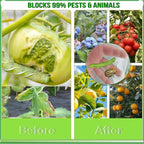 Fruit Tree Netting (6 Pack 2.6x3.3 FT)- Easy Install Plant Protection Cover, Reusable Garden Mesh Bag for Blueberry Bushes/Tomato - Block Birds/Insect/Squirrels