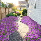 20 Bundles Artificial Flowers for Outdoors Decoration Fake Silk Flowers UV Resistant Faux Plants Artificial Daisy Eucalyptus for Spring Summer Garden Yard Porch Window Home Decor, Purple
