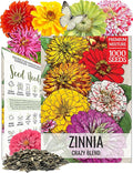 Seed Needs Zinnia Seeds 15+ Varieties Specialty Crazy Blend | 1,000+ Seeds Zinnia Elegans Open Pollinated | Includes California Giants, Candystripe & State Fair Species | Bulk
