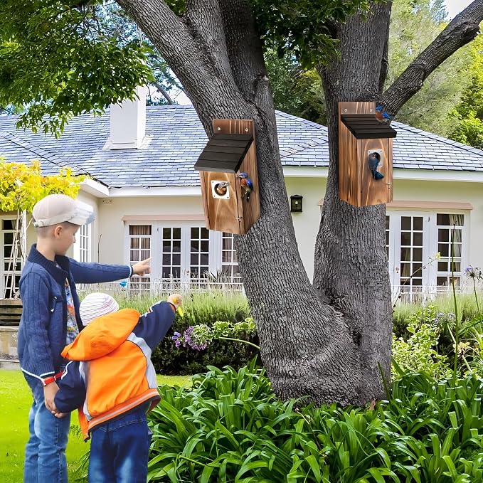Dreyoo 2 Pack Bluebird Box Houses for Outside,1-1/2'' Entrance Hole Wooden Bird Houses with Metal Guard, Secure Latch,Fledgling Grooves,Air Vents for Bluebird Wren Swallow (Black Roof,Burnt Wood Body)