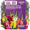 KVITER 1,500 Tetra Mix Snapdragon seeds (Antirrhinum Majus) – Heirloom & Organic Tall Snap Dragon Mix, Annual Flower Garden seeds, Cut Flower Seeds for Planting – Ideal for Outdoor Garden & Containers