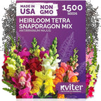 KVITER 1,500 Tetra Mix Snapdragon seeds (Antirrhinum Majus) – Heirloom & Organic Tall Snap Dragon Mix, Annual Flower Garden seeds, Cut Flower Seeds for Planting – Ideal for Outdoor Garden & Containers