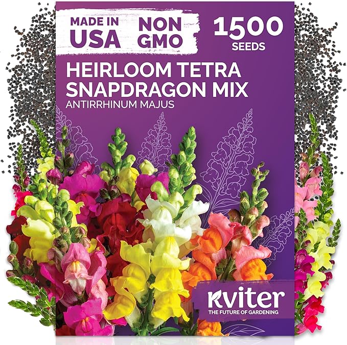 KVITER 1,500 Tetra Mix Snapdragon seeds (Antirrhinum Majus) – Heirloom & Organic Tall Snap Dragon Mix, Annual Flower Garden seeds, Cut Flower Seeds for Planting – Ideal for Outdoor Garden & Containers