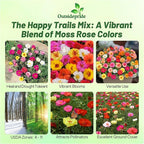 Outsidepride Mixed Moss Rose Seeds - 500 Pcs Annual, Drought & Heat Tolerant, Pollinator Friendly Ground Cover Seeds for Planting w/Vibrant Blooms & Succulent Foliage, Ideal for Xeriscaping