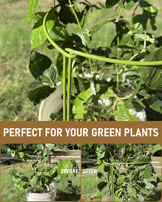 6-Pack Plant Support Stakes, Steel Stakes for Indoor Plants, Monstera & Peony Support, Tall Plant Sticks for Snake Plant, Climbing Vines, Metal Garden Stakes (10" W x 15.8" H)