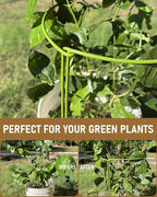 12-Pack Plant Support Stakes, Steel Stakes for Indoor Plants, Monstera & Peony Support, Tall Plant Sticks for Snake Plant, Climbing Vines, Metal Garden Stakes (10" W x 15.8" H)
