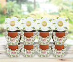 BUZZY Seeds Daydream Mini Terracotta Pots 12-Pack with Daisy Seed Packets – All-in-One Starter Set with Growing Medium and Easy Instructions, Gardening Gift, Wedding Favors, Corporate Gifting