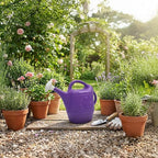 Union Products 63071 2 Gallon Plastic Indoor/Outdoor Watering Can w/ Tulip Design for Garden, Potted Plants, & Patio Pots, Purple