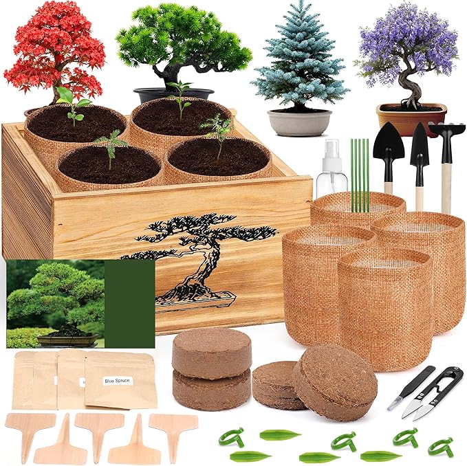 4 Pack Bonsai Tree Kit - 4 Seeds Growing Plant Bonsai Tree Live Kit for Beginners, Easy to Grow Complete Indoor Garden Starter Kits with Wooden Box & Tools, Christmas Gifts for Men Women Plant Lover