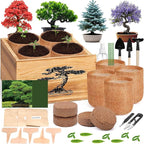 4 Pack Bonsai Tree Kit - 4 Seeds Growing Plant Bonsai Tree Live Kit for Beginners, Easy to Grow Complete Indoor Garden Starter Kits with Wooden Box & Tools, Christmas Gifts for Men Women Plant Lover