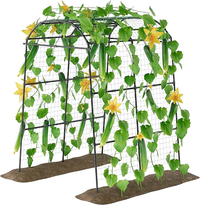 Miory Garden Arch Trellis for Climbing Plants Outdoor, Cucumber Trellis for Raised Bed, Steel with UV-Resistant PE Coated Plants Support Trellis (71 x 83 Inch)