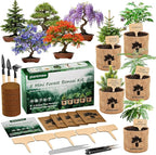 Bonsai Starter Kit for Adults – Complete Indoor Tree Growing Set with Jacaranda Seeds, Tools & Planter | DIY Gardening Hobby Kits for Plant Lovers, Unique Easter Gifts for Men & Women