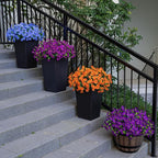Artificial Faux Flowers for Outdoor 16 Bundles Boxwood Fake Morning Glory for Planter,UV Resistant Fake Flowers for Home Porch Patio Outside（Orange）