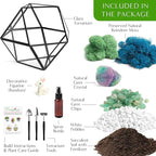 Creations by Nathalie DIY 7" Geometric Terrarium Kit - Build Your Own Glass Terrarium for Adults & Teens with Moss, Crystals, Tools & Decorative Figurine - Mini Ecosystem (Plant Not Included)