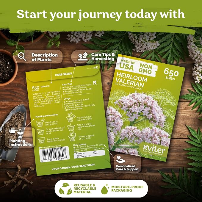 KVITER 650 Valerian Seeds (Valeriana Officinalis) – Common Valerian Herb Garden Seed Packets, Fragrant, Deer-Resistant, Non GMO Seed - Heirloom Herb Seeds for Outdoor Garden, Beds, Containers