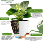 6 Inch Self Watering Pots for Indoor Plants(5-Pack) – Small Plastic Planters with Water Level Window, Drainage Holes & Detachable Trays, Indoor Outdoor Flower Pots for Herbs, Snake,Pothos(White)