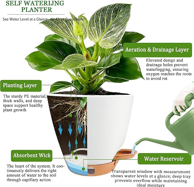 6 Inch Self Watering Pots for Indoor Plants(5-Pack) – Small Plastic Planters with Water Level Window, Drainage Holes & Detachable Trays, Indoor Outdoor Flower Pots for Herbs, Snake,Pothos(White)