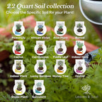 Professional African Violet Soil Mix Large 2.2 Quarts Ready to Use, Premium Potting Soil for African Violet Plants Indoor Flowering Soil, Peat Moss Coco Coir Perlite Dolomite Made in USA