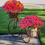 Spring Artificial Bougainvillea Flowers Fake Plants for Outdoors Porch Planters, UV Resistant Faux Realistic Silk Colorful Greenery for Summer Outside Patio Decoration, 8 Bundles