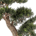 Nearly Natural 4103 24in. Cedar Bonsai Silk Plant,Green