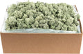 SuperMoss (21792) Reindeer Moss – Soft Preserved Moss for Home Decor, Crafts, Terrariums, Floral Design, and Wedding Decorations, 2,588 cu in, Green
