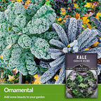 Baby Kale Seeds – Garden Blend Mix of Curly & Flat Leaf Kale – Heirloom Variety Pack for Cut-and-Come-Again Greens – Fall or Spring Planting – Survival Garden Seeds (1 Pack)