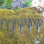 KAKURI Bonsai Scissors Made in Japan 7", Japanese Carbon Steel Blade, Traditional Bonsai Shears for Pruning and Trimming