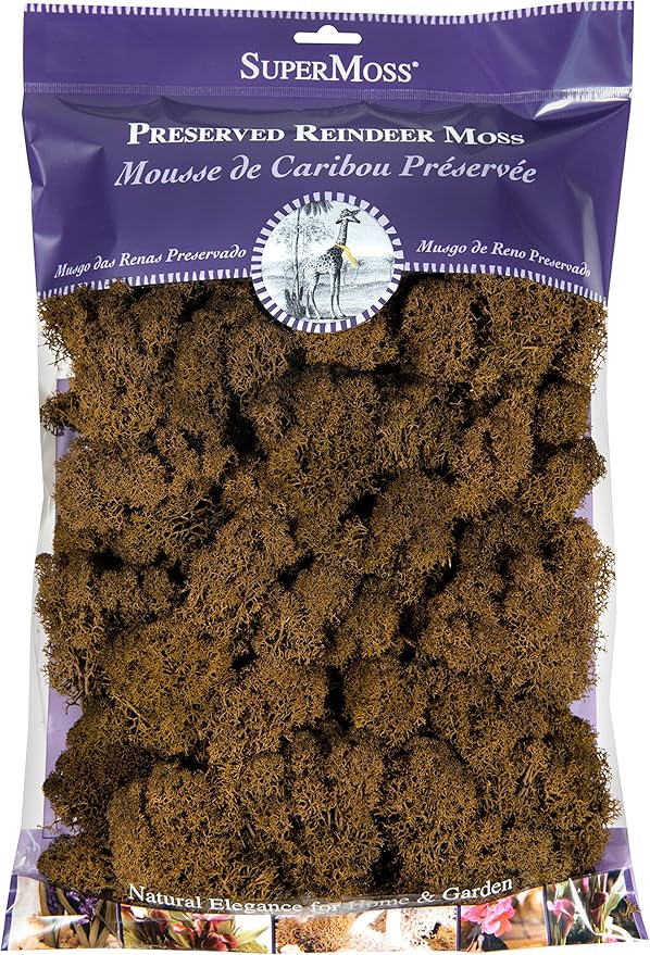 SuperMoss (23092 Preserved Reindeer Moss, 200 Cubic inch (in3) Bag (Appx. 8oz), Brown