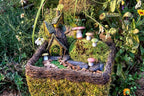 SuperMoss (50310) Fairy Garden Kit, Mixed Mosses, 4 oz., Multicolor